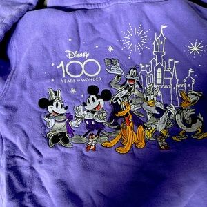 Disney 100 hoodie